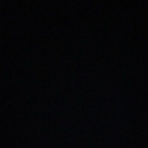 Meet your Posher, Lizzy